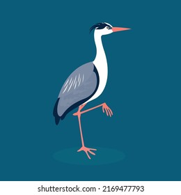 The heron stands on one leg