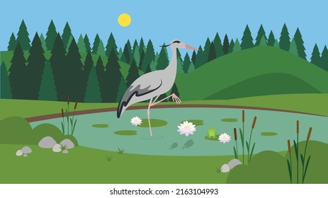 A heron stands on one paw in a swamp