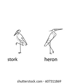 heron and stork