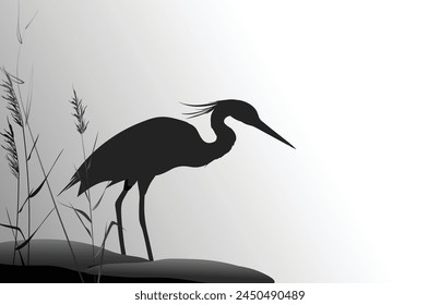 Heron in the thickets of reeds stands next to a group of stones. Silhouette vector illustration.