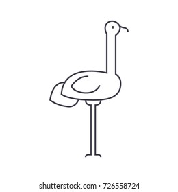 heron vector line icon, sign, illustration on background, editable strokes