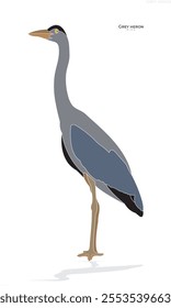 heron,Grey heron, bird, icon, vector, animal, forest, bird icon.eps
