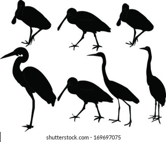 herons collection - vector