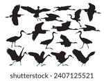 Herons. Vector images. White background. 