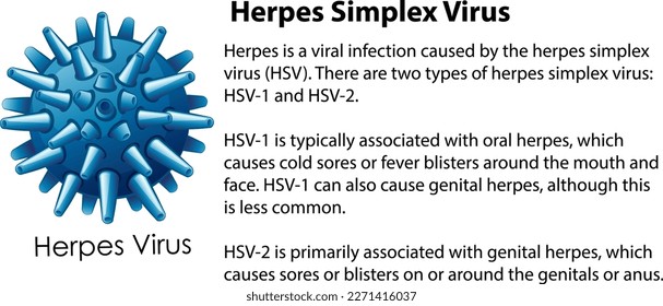 Virus Herpes Simplex con ilustración de explicación
