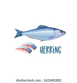 Herring fish icon. Illustration whole fish and fillet for design seafood packaging and market. Vector illustration.