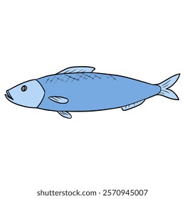 herring fish illustration hand drawn isolated vector