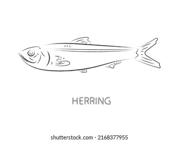 ilustración vectorial aislada de peces arenque
