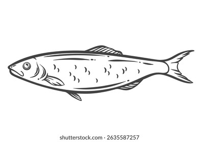 Herring fish outline drawing in side view, stylized with hand drawn monochrome lines. Seafood species often used in traditional dishes and preserves. Vector illustration of herring