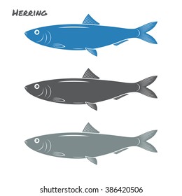 Herring fish vector illustration on white background