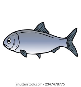 herring fish vector illustration,isolated on white background,top view