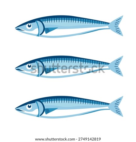 Herring flat vector illustration. Ocean fauna delicacy. Seafood, healthy undersea fish. Flat vector illustration isolated on white background.EPS10