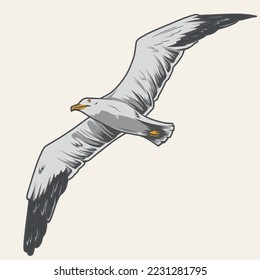 Herring gull colorful detailed logotype bird living near sea or ocean with spread wings at time of flight vector illustration