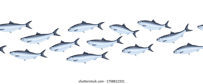 Herring horizontal seamless texture background. Vector illustration flat fish icon isolated on white.