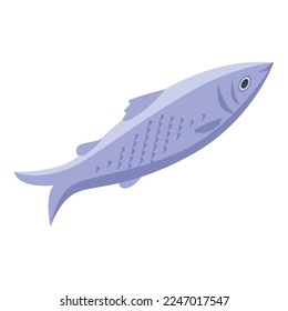 Herring icon isometric vector. Store product. Sea fish