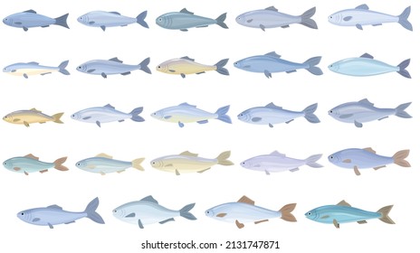 Herring Icons Set Cartoon Vector. Cod Fish. Water Trout