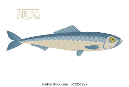 Herring illustration, flat, cartoon