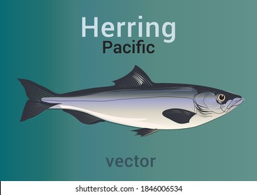 Herring, label, stylistic image of fish