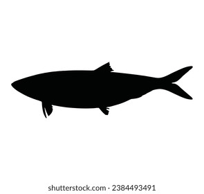 Herring logo. Isolated herring on white background.