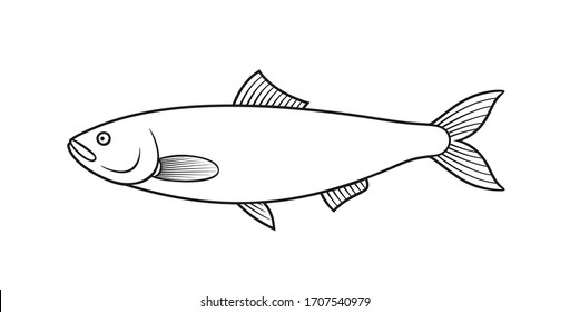 Herring outline. Isolated herring on white background