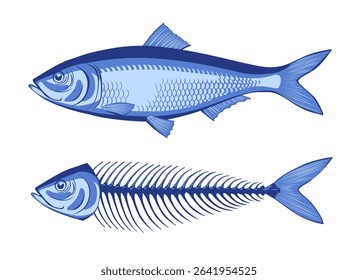 Herring and the skeleton of an eaten fish in blue colors isolated on white. Vector illustration in flat style. NOT AI generated