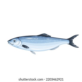 Herring vector illustration. Cartoon isolated underwater sea or ocean fish, saltwater marine product of fishing and aquaculture, whole raw silver herring iwashi with head and tail for cooking