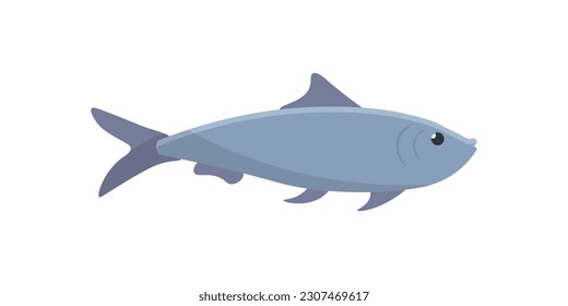 Hering, Vektorgrafik. Cartoon einzeln auf See und Ozean Fisch und Meerestiere, rohes Salzwasser-Meeresfrüchte-Erzeugnis für die Herstellung von Ölige-Iwashi-Hering, Gegenstand des Fischmarktes und Fang