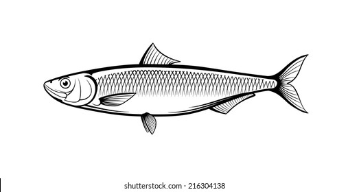 herring vector outline