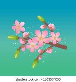 herry branch with blooming flowers. Vector illustration. 