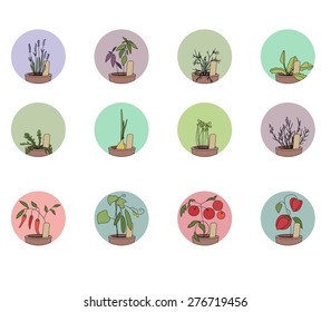Sus verduras. Conjunto de iconos redondos