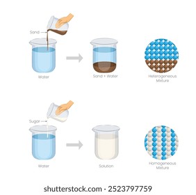 Heterogeneous mixtures have visibly different components, while homogeneous mixtures are uniform throughout, with components evenly distributed.