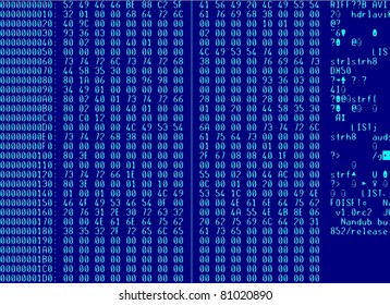 hex view of video file