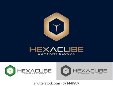 Hexa Cube Logo Template Design Vector 