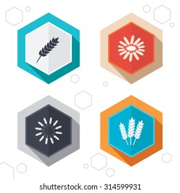 Hexagon buttons. Agricultural icons. Gluten free or No gluten signs. Wreath of Wheat corn symbol. Labels with shadow. Vector