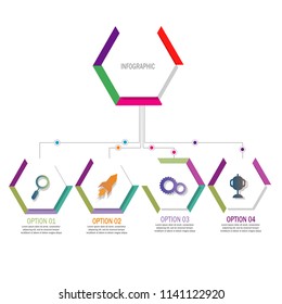 hexagon color modern timeline infographic template element for workflow,process,presentation with modern hexagon outline concept design vector