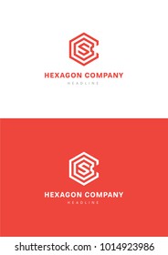 Hexagon company logo template.