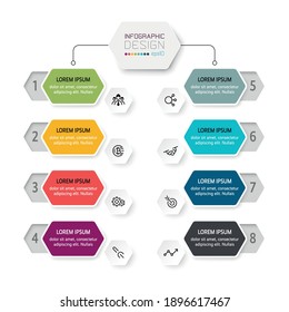 Hexagon design organization, 8 steps of operation, explain the work plan, meeting and present. vector infographic. 