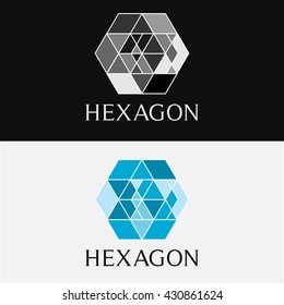 Hexagon Design Template Two Variations Grey Stock Vector (Royalty Free ...