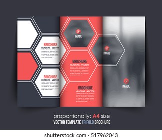 Hexagon Elements A4 Document and Brochure, Vector Background. Corporate Trifold Leaflet, Textbook Cover Design. Image Add Feature, Business and Print Ready Minimal Tri Fold Pamphlet, Booklet Template