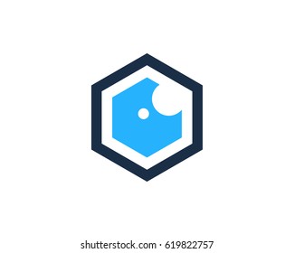 Hexagon Eye Icon Logo Design Element