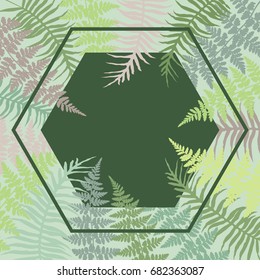 Hexagon fern frond frame vector illustration. Green tropical forest plant leaves decoration on black background. Detailed bracken herbs drawing, fern frond grass card with white border.