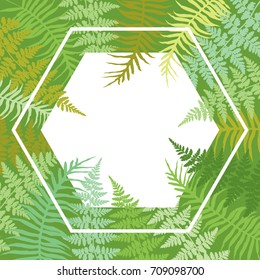 Hexagon fern frond frame vector illustration. Green tropical forest plant leaves decorative background. Detailed bracken herbs drawing, fern frond grass card with white border.