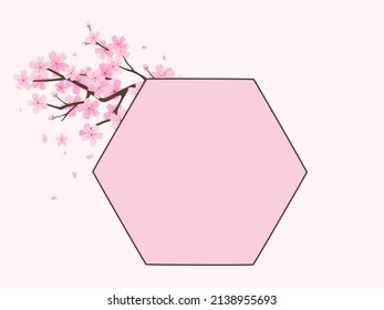 Hexagon frame with cherry blossom Sakura flower on pink background vector illustration.