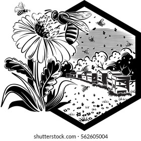 Hexagon frame with flowery scenery, hives, and worker bees on flowers.