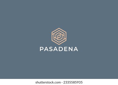 Hexagon Geometric Style Idea Logo for Business Company Luxury Concept 