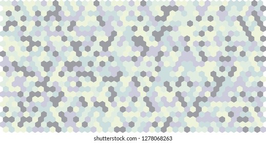 Hexagon grid background texture pattern colorful . Honeycomb vector background. Isometric geometry. Aspect Ratio 2:1