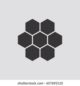 Hexagon icon infographic isolated on grey background.Vector illustration.