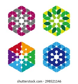 Hexagon icon. Vector design logo template.You can use in the media, public groups, machine , biotechnology, mutual aid associations and other company.