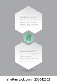 Hexagon infographic design with eco house icon and description