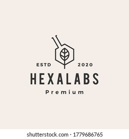 etiqueta hexagonal de laboratorio de hojas de hexágono logotipo vintage icono